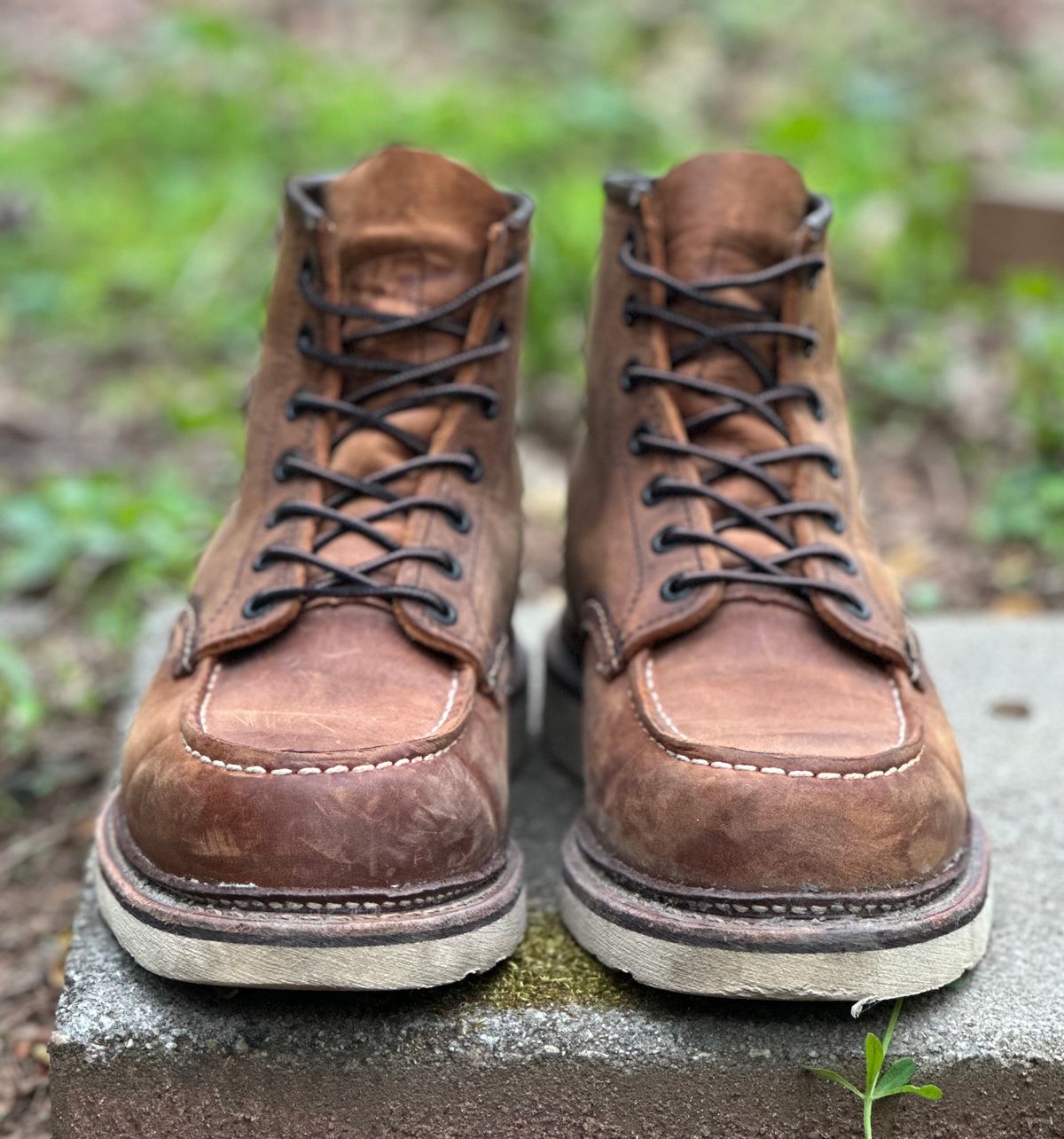 Photo by lee.goodson on April 4, 2024 of the Red Wing 6-Inch Classic Moc in S.B. Foot Copper Rough and Tough.
