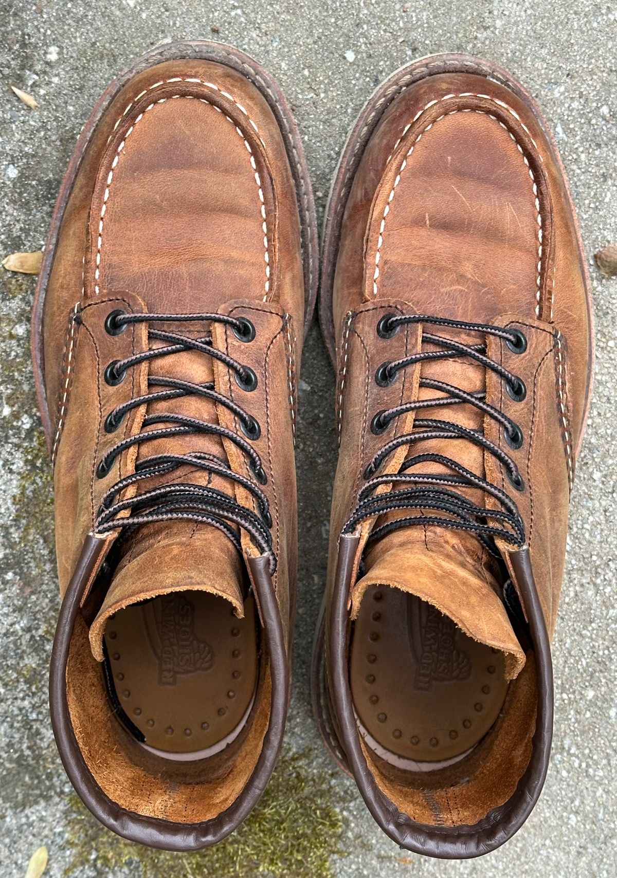 Photo by lee.goodson on April 4, 2024 of the Red Wing 6-Inch Classic Moc in S.B. Foot Copper Rough and Tough.
