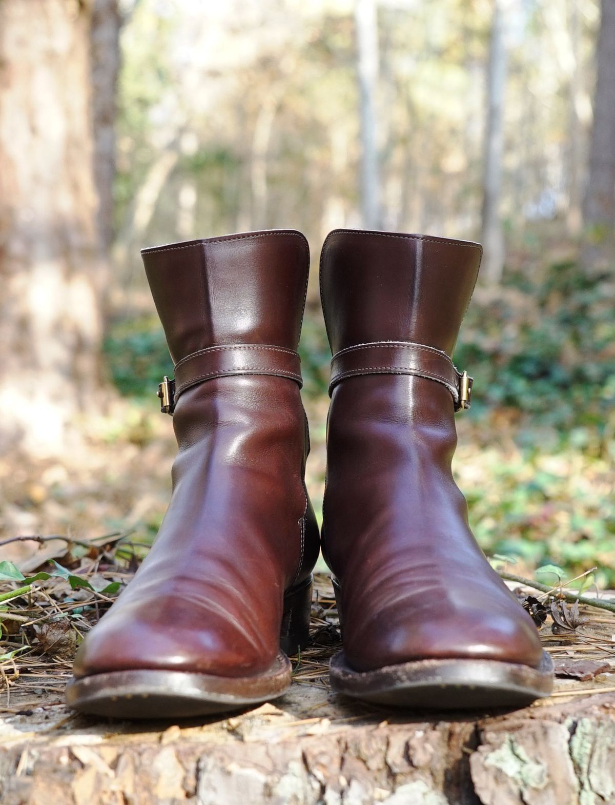 Photo by lee.goodson on December 3, 2022 of the Clinch Jodhpur Boots in Brown French Calfskin.