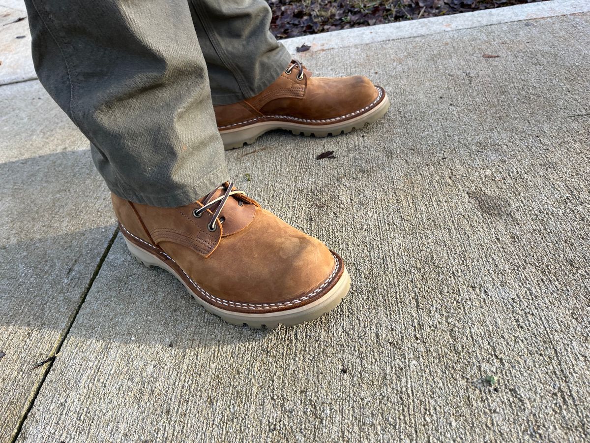 Photo by JSeppala on December 28, 2023 of the Nicks Turnbull in Seidel WeatherShield Brown.