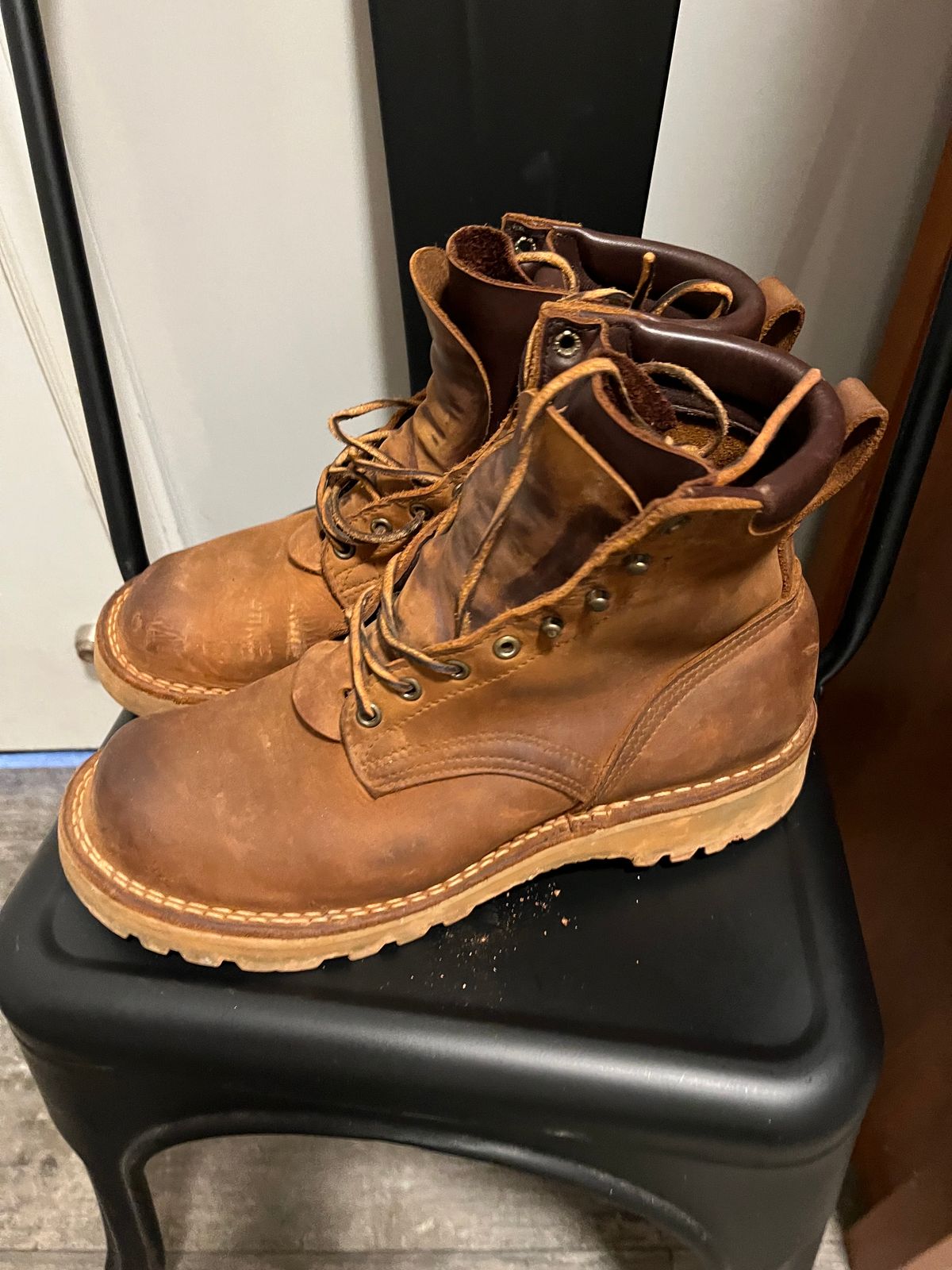 Photo by JSeppala on January 17, 2024 of the Nicks Turnbull in Seidel WeatherShield Brown.
