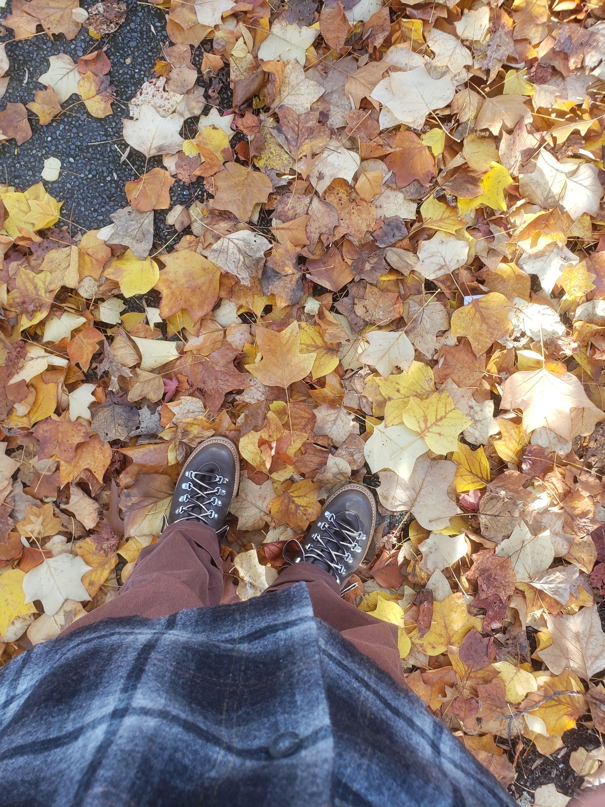 Photo by Jsau on November 7, 2023 of the Viberg Pachena Bay in Unknown Leather.