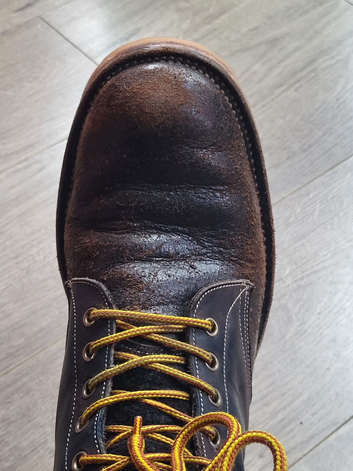 Photo by toddblas on January 2, 2024 of the Fortis Boots Custom DAKAR with Logger in Horween Java Waxed Flesh.