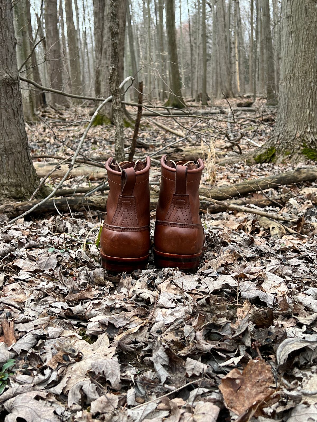 Photo by KP5000 on March 5, 2023 of the Nicks Robert in Seidel 1964 Brown.