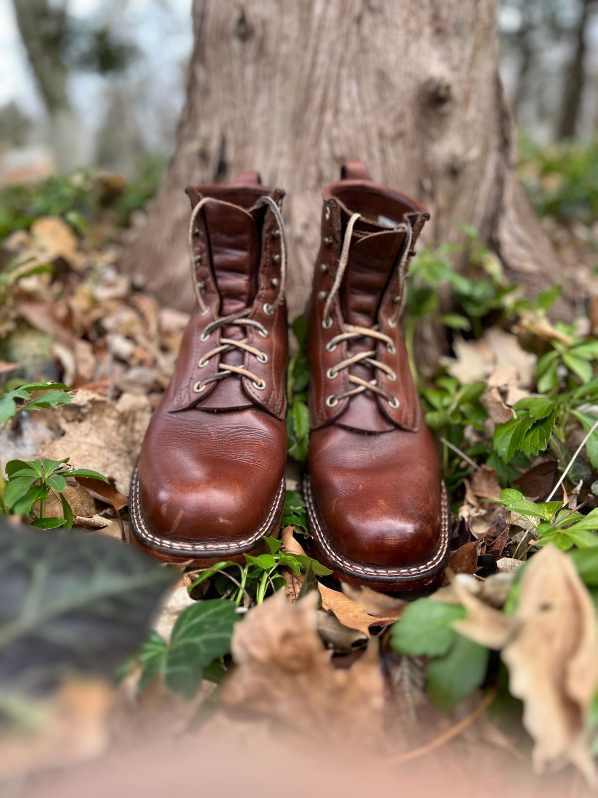 Photo by KP5000 on March 5, 2023 of the Nicks Robert in Seidel 1964 Brown.