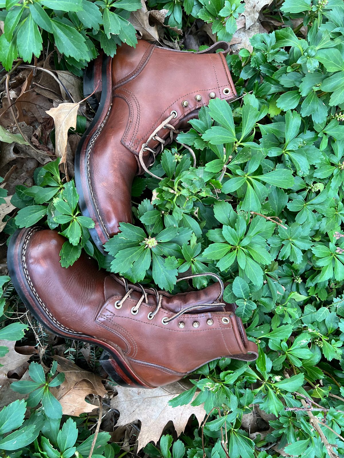 Photo by KP5000 on April 5, 2023 of the Nicks Robert in Seidel 1964 Brown.