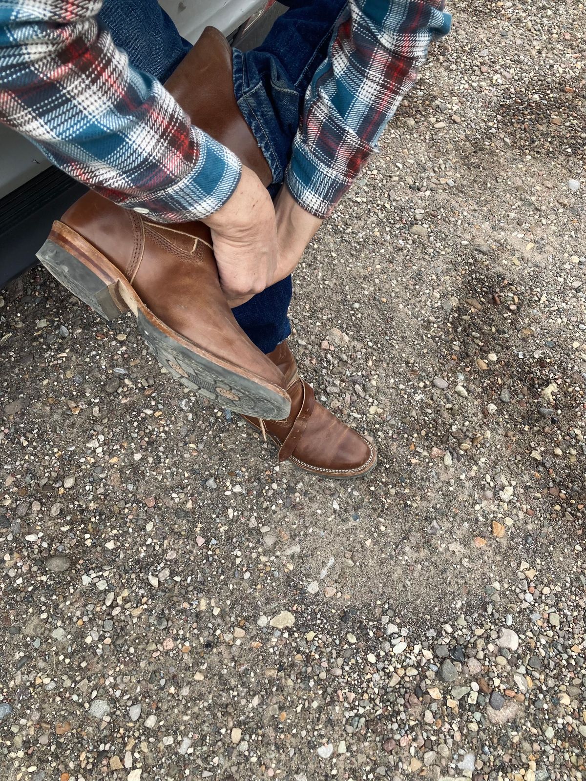 Photo by johnnygomezintx on October 18, 2022 of the Wesco Mister Lou in Maryam Toscanello TPR Horsebutt.