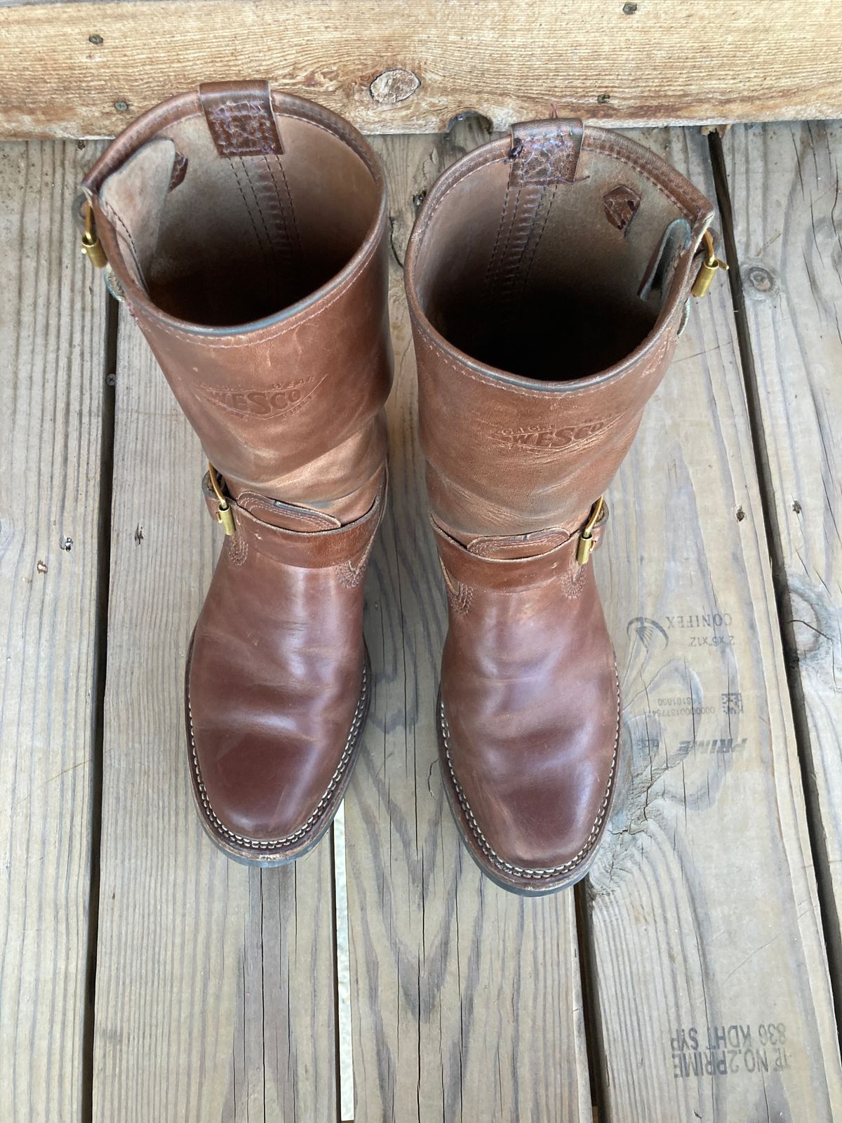 Photo by johnnygomezintx on January 5, 2023 of the Wesco Mister Lou in Maryam Toscanello TPR Horsebutt.