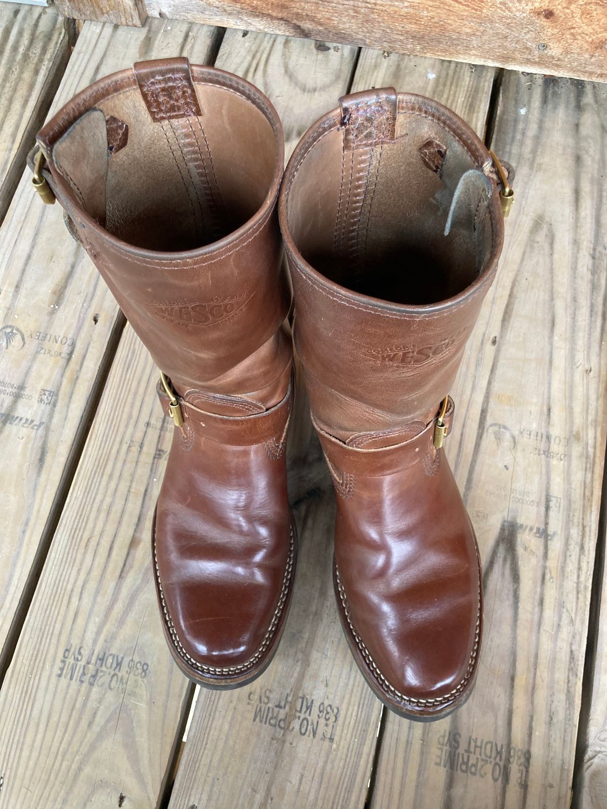 Photo by johnnygomezintx on February 2, 2023 of the Wesco Mister Lou in Maryam Toscanello TPR Horsebutt.