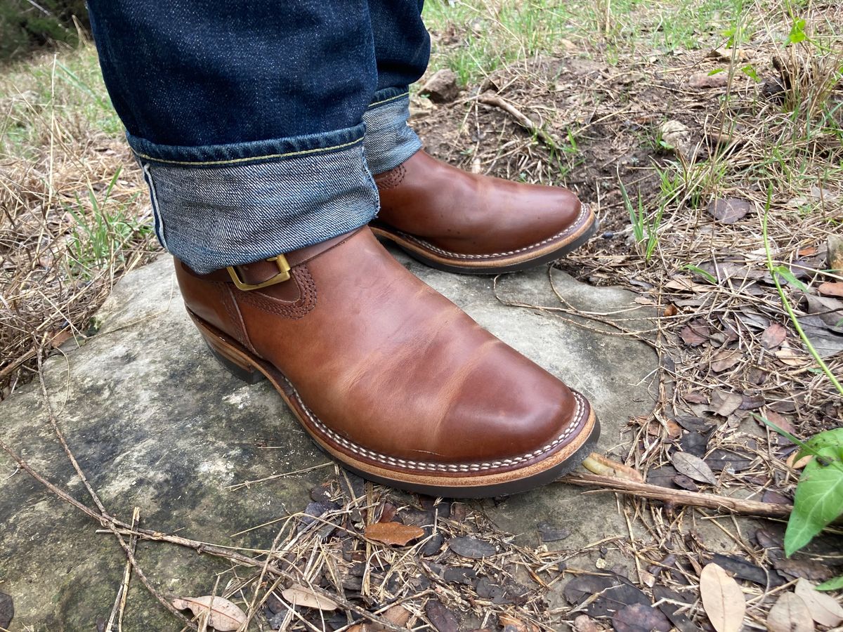 Photo by johnnygomezintx on March 2, 2023 of the Wesco Mister Lou in Maryam Toscanello TPR Horsebutt.