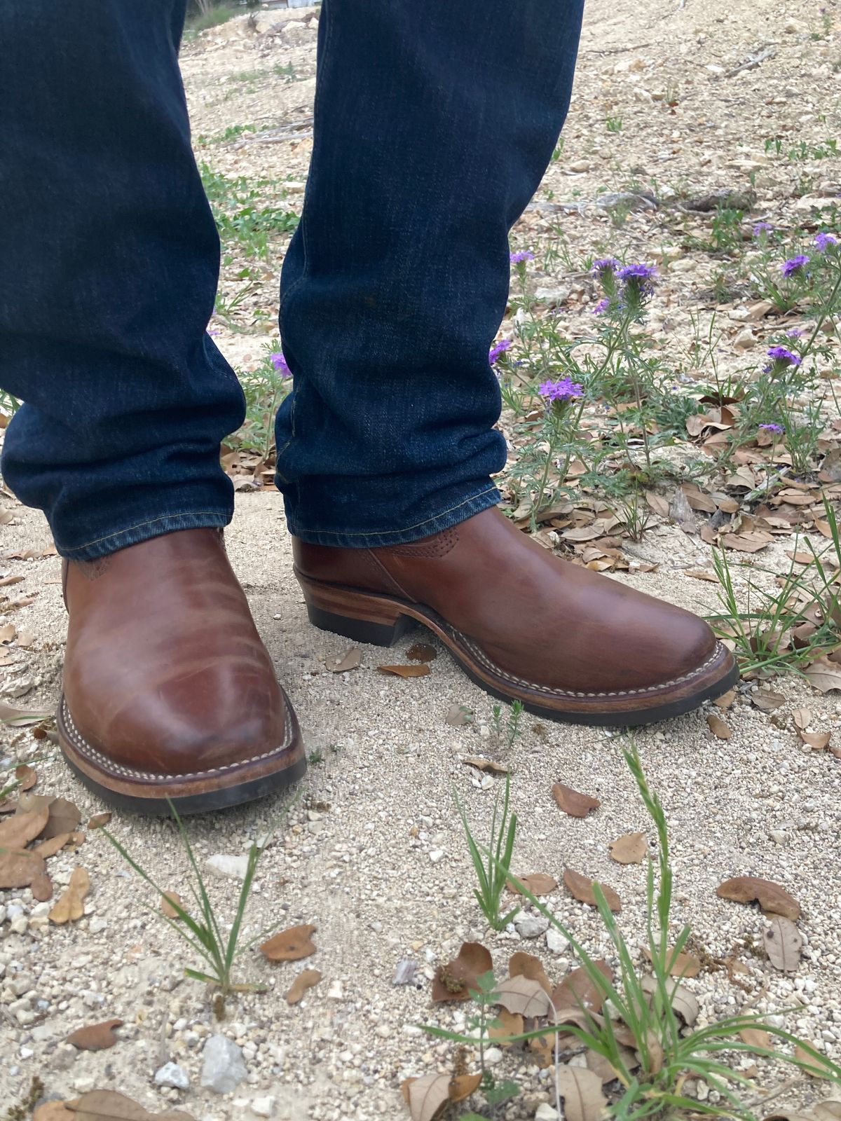 Photo by johnnygomezintx on April 5, 2023 of the Wesco Mister Lou in Maryam Toscanello TPR Horsebutt.