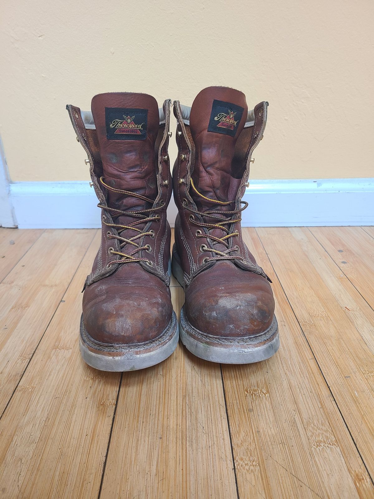 Photo by TheWorkingBastard on December 1, 2022 of the Thorogood 8" Plain Toe in Tobacco Gladiator Oil-Tanned.