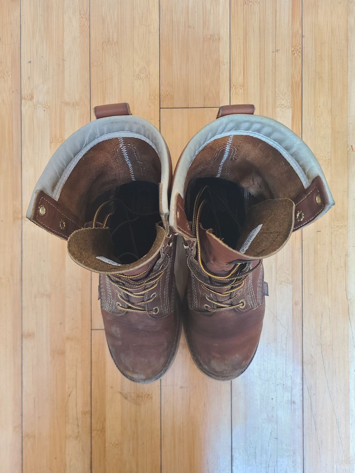Photo by TheWorkingBastard on December 1, 2022 of the Thorogood 8" Plain Toe in Tobacco Gladiator Oil-Tanned.