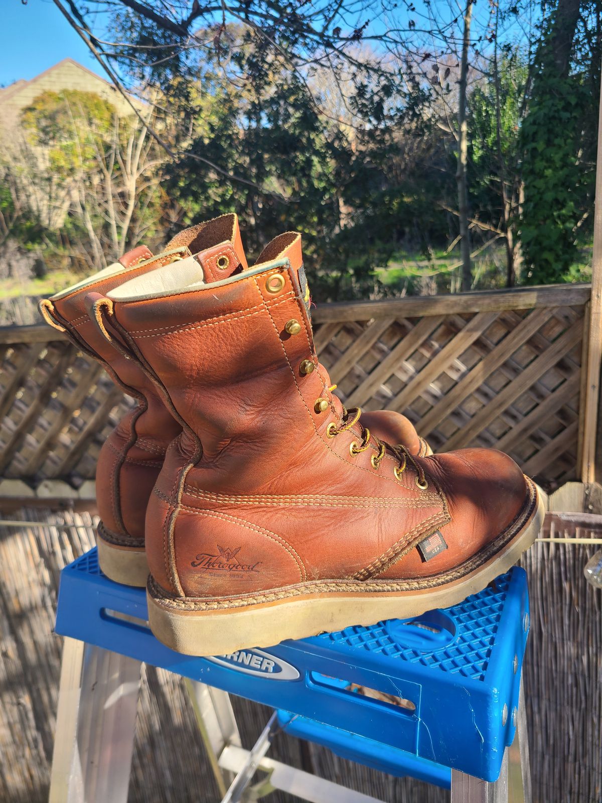 Photo by TheWorkingBastard on January 1, 2023 of the Thorogood 8" Plain Toe in Tobacco Gladiator Oil-Tanned.