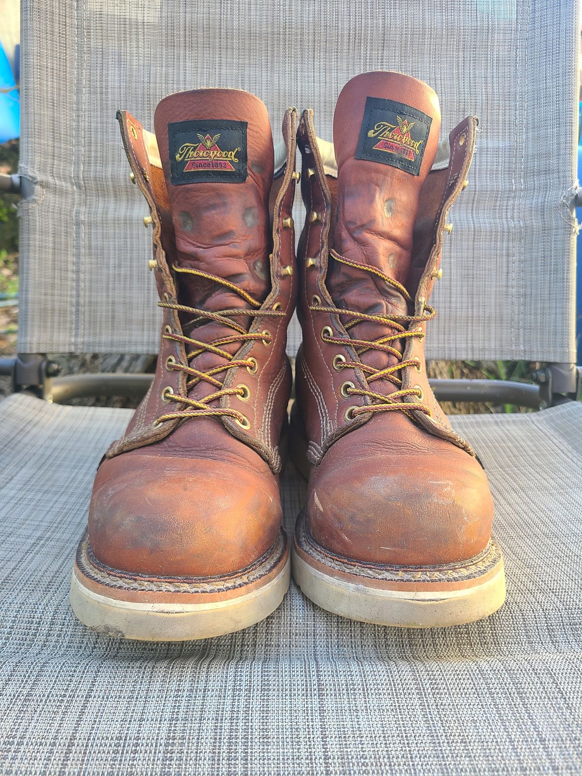 Photo by TheWorkingBastard on January 1, 2023 of the Thorogood 8" Plain Toe in Tobacco Gladiator Oil-Tanned.