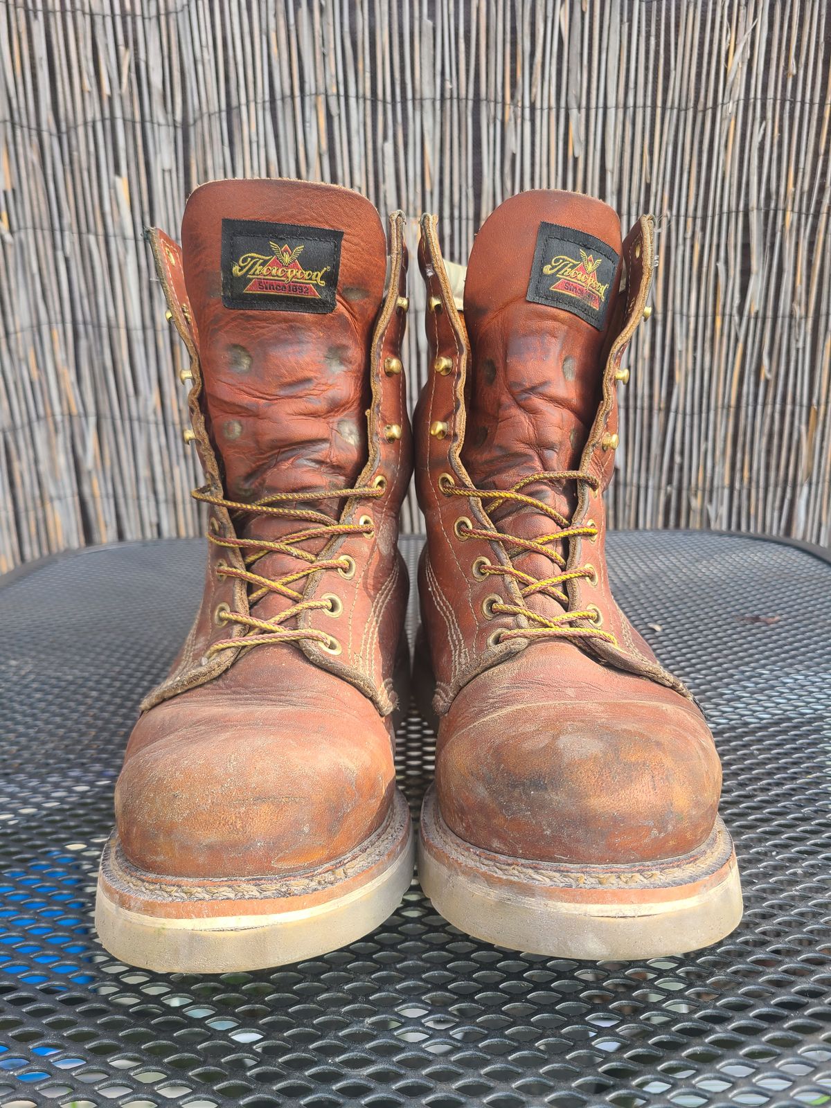 Photo by TheWorkingBastard on February 1, 2023 of the Thorogood 8" Plain Toe in Tobacco Gladiator Oil-Tanned.
