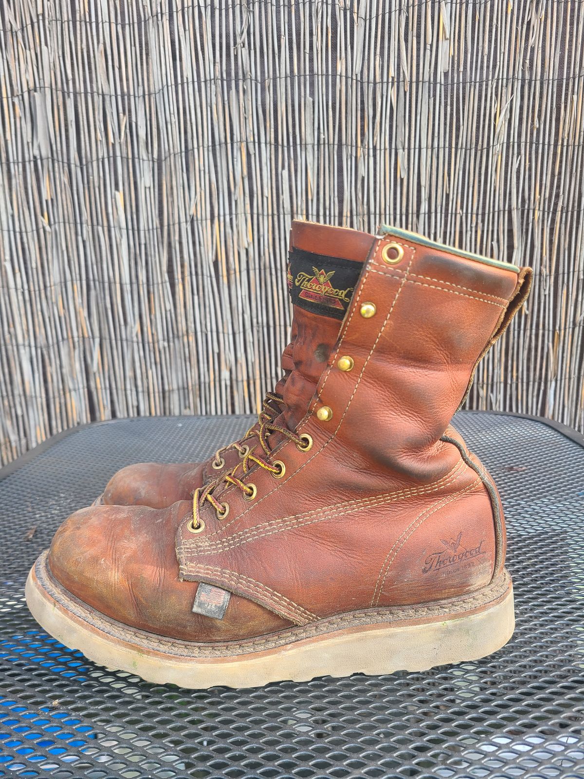 Photo by TheWorkingBastard on February 1, 2023 of the Thorogood 8" Plain Toe in Tobacco Gladiator Oil-Tanned.