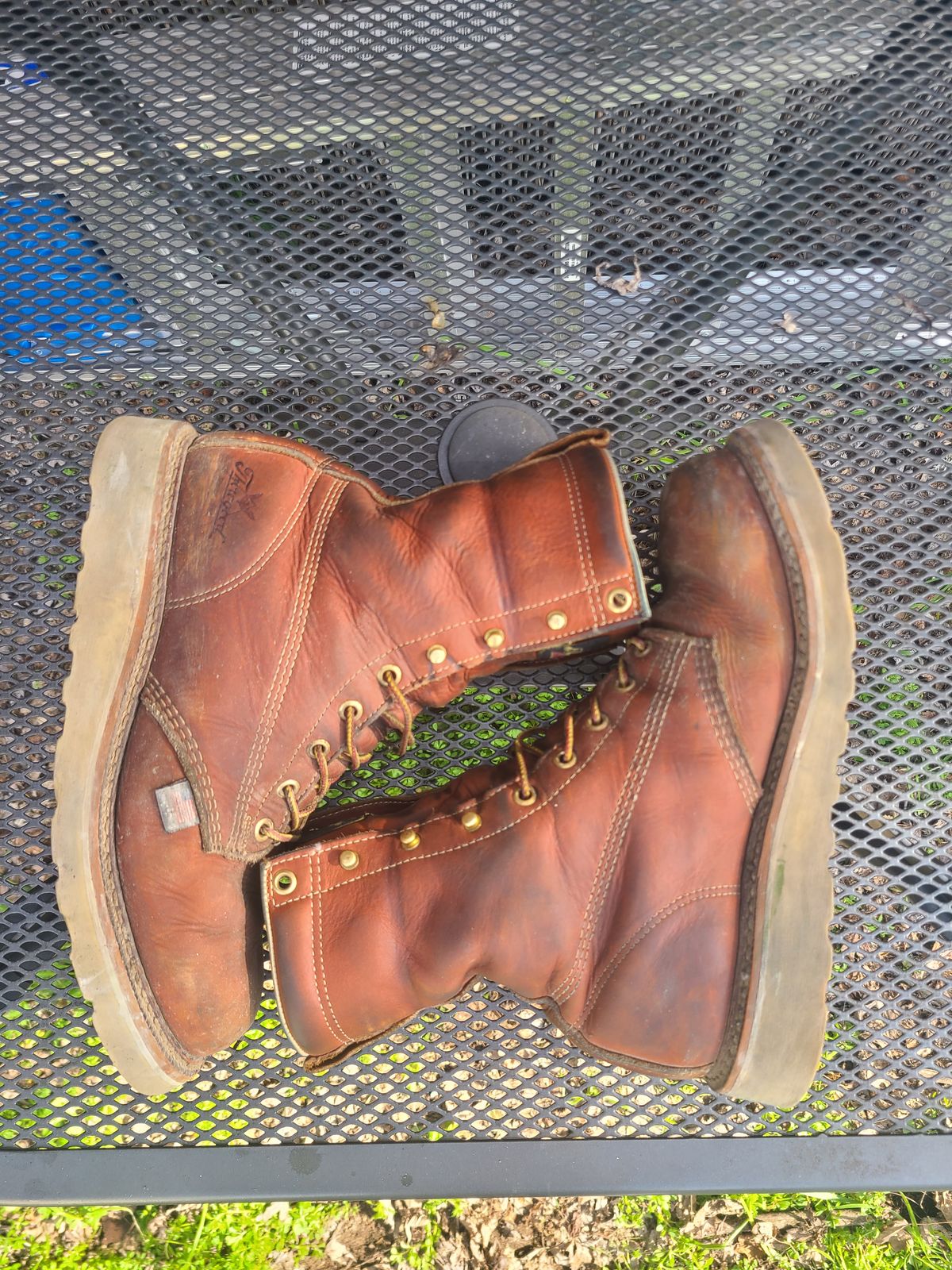 Photo by TheWorkingBastard on February 1, 2023 of the Thorogood 8" Plain Toe in Tobacco Gladiator Oil-Tanned.
