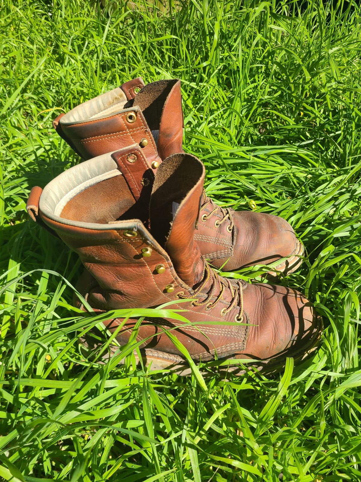 Photo by TheWorkingBastard on March 1, 2023 of the Thorogood 8" Plain Toe in Tobacco Gladiator Oil-Tanned.