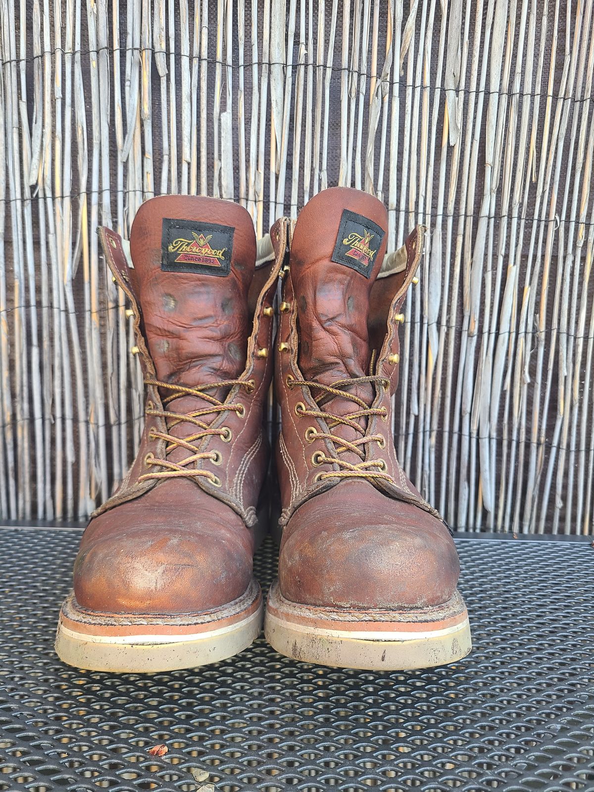 Photo by TheWorkingBastard on March 1, 2023 of the Thorogood 8" Plain Toe in Tobacco Gladiator Oil-Tanned.