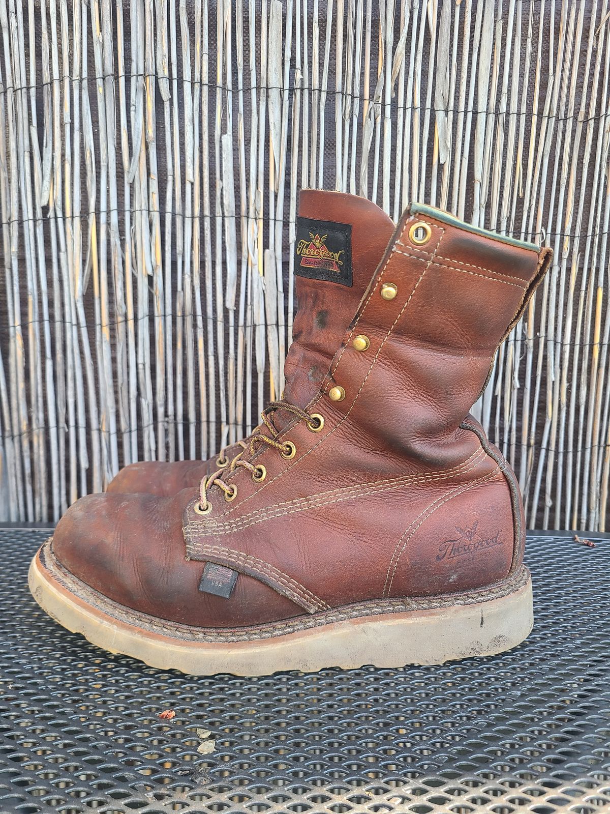 Photo by TheWorkingBastard on March 1, 2023 of the Thorogood 8" Plain Toe in Tobacco Gladiator Oil-Tanned.
