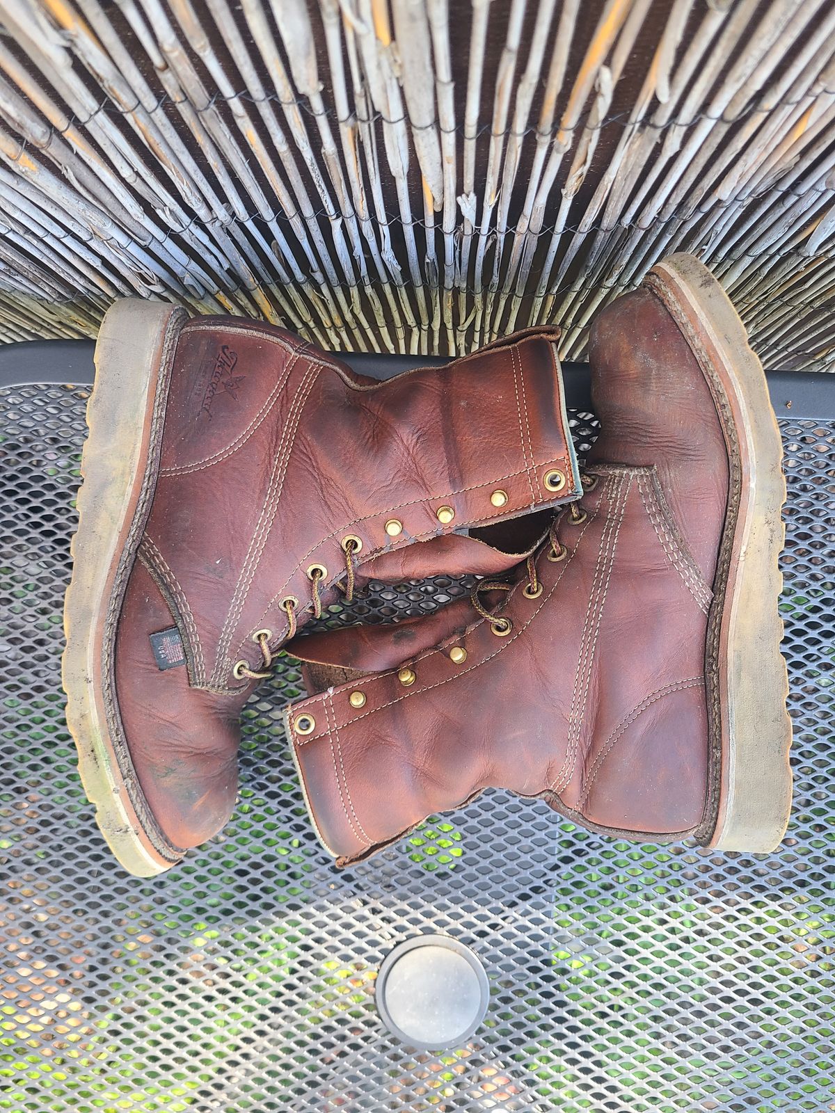 Photo by TheWorkingBastard on March 1, 2023 of the Thorogood 8" Plain Toe in Tobacco Gladiator Oil-Tanned.