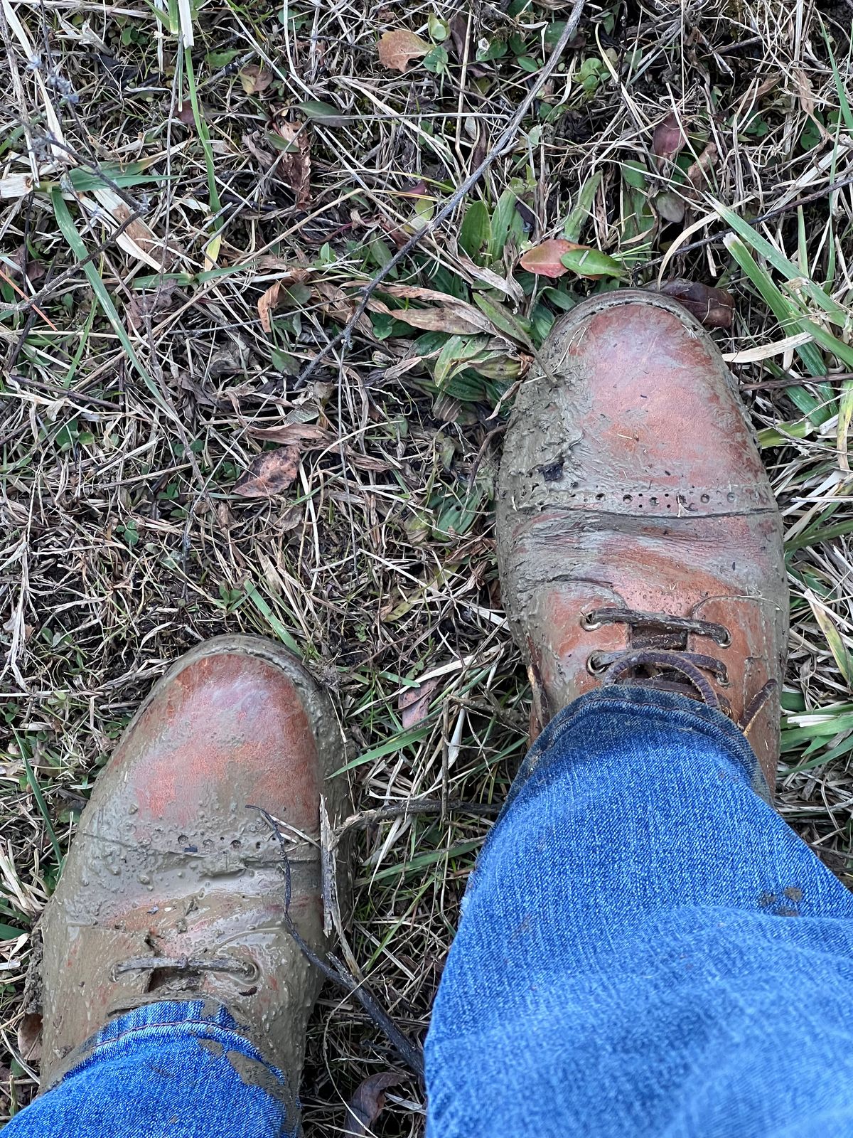 Photo by fieldlaf on December 14, 2023 of the Blkbrd Shoemaker Luchador Service Boot in Horween Natural Chromexcel.