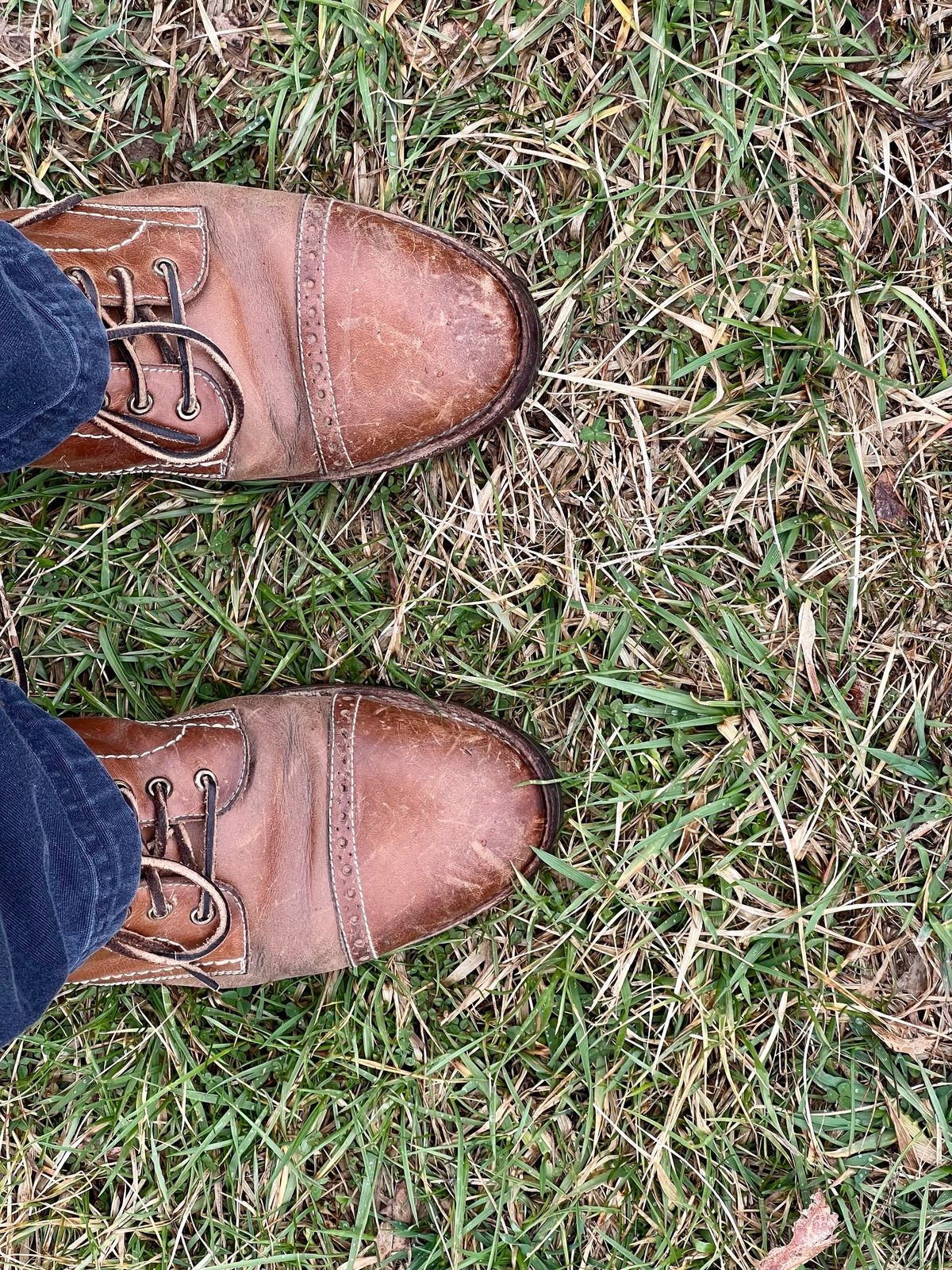 Photo by fieldlaf on March 2, 2024 of the Blkbrd Shoemaker Luchador Service Boot in Horween Natural Chromexcel.