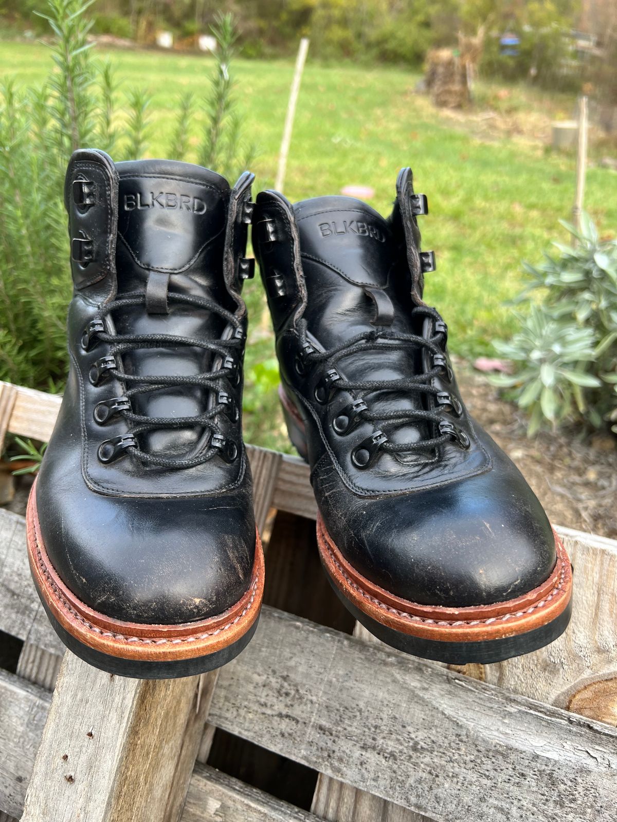 Photo by fieldlaf on November 4, 2024 of the Blkbrd Shoemaker Bulwark Trek Boot in Horween Black Chromexcel.