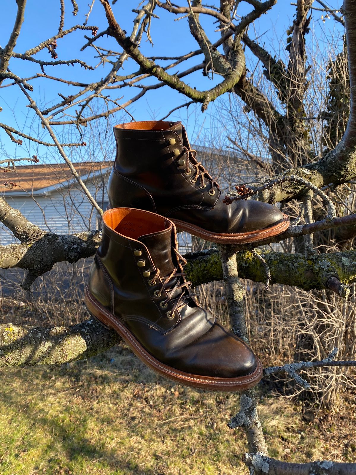 Photo by Acolosi7 on April 1, 2023 of the Grant Stone Diesel Boot in Horween Maduro Shell Cordovan.