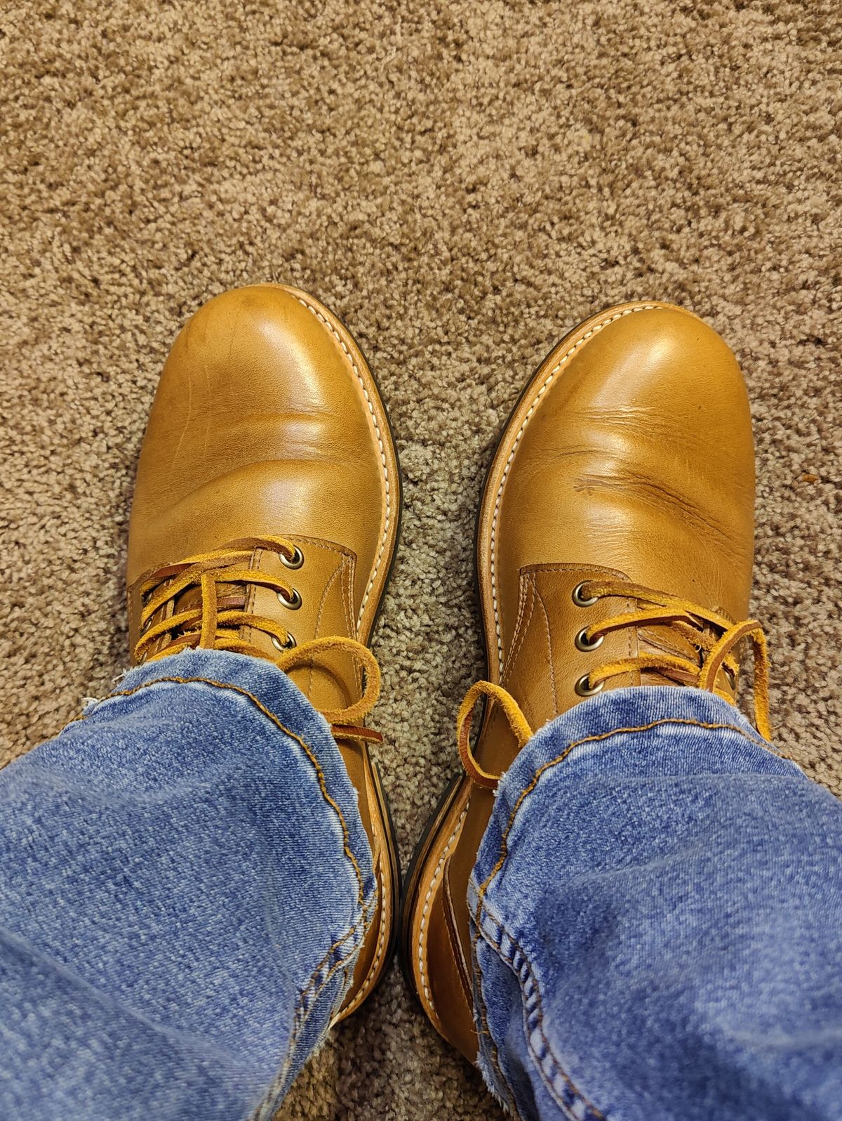 Photo by crberus81 on October 18, 2023 of the Oak Street Bootmakers Trench Boot in Horween Natural Chromexcel.