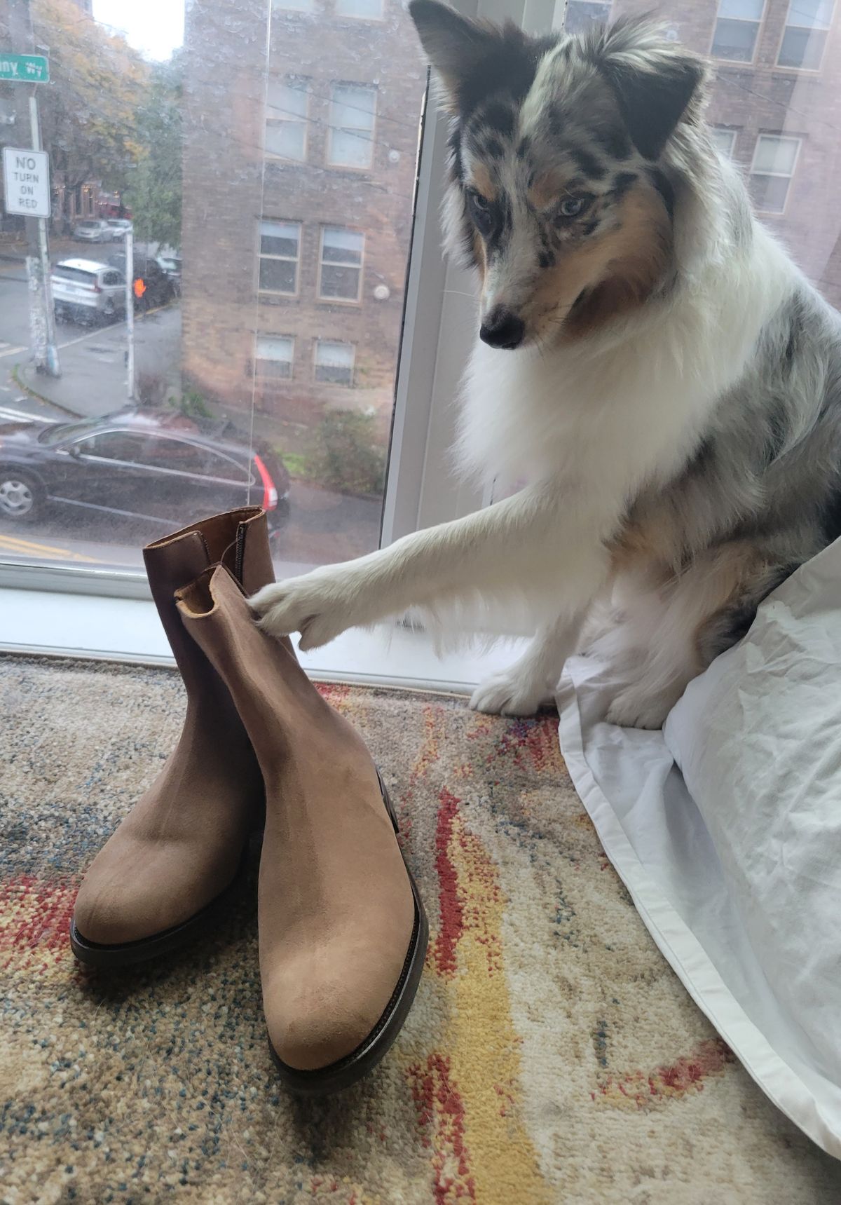 Photo by chokkero on November 1, 2024 of the Viberg Herald in Eco Veg Fallow Suede Roughout.