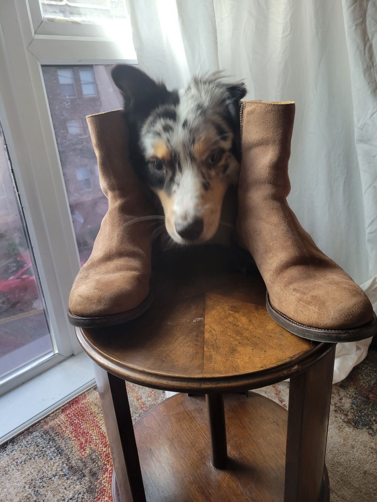 Photo by chokkero on December 2, 2024 of the Viberg Herald in Eco Veg Fallow Suede Roughout.