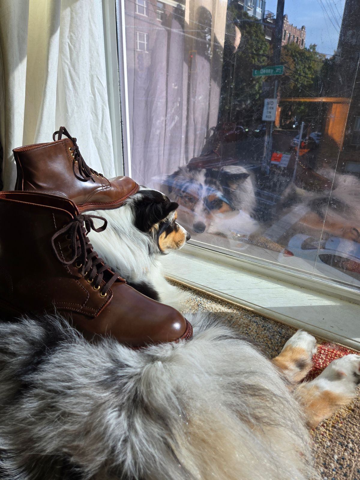 Photo by chokkero on October 2, 2025 of the Alden Plain Toe Boot in Horween Ravello Shell Cordovan.