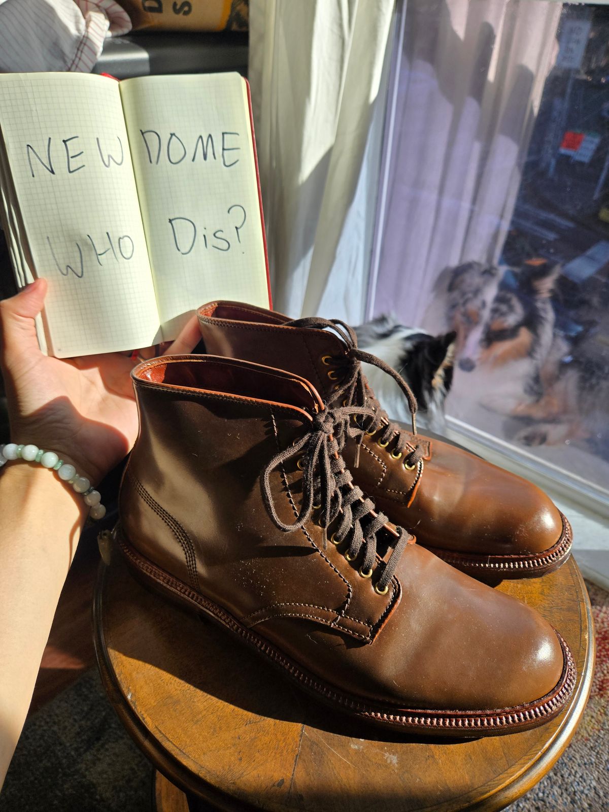 Photo by chokkero on October 2, 2025 of the Alden Plain Toe Boot in Horween Ravello Shell Cordovan.