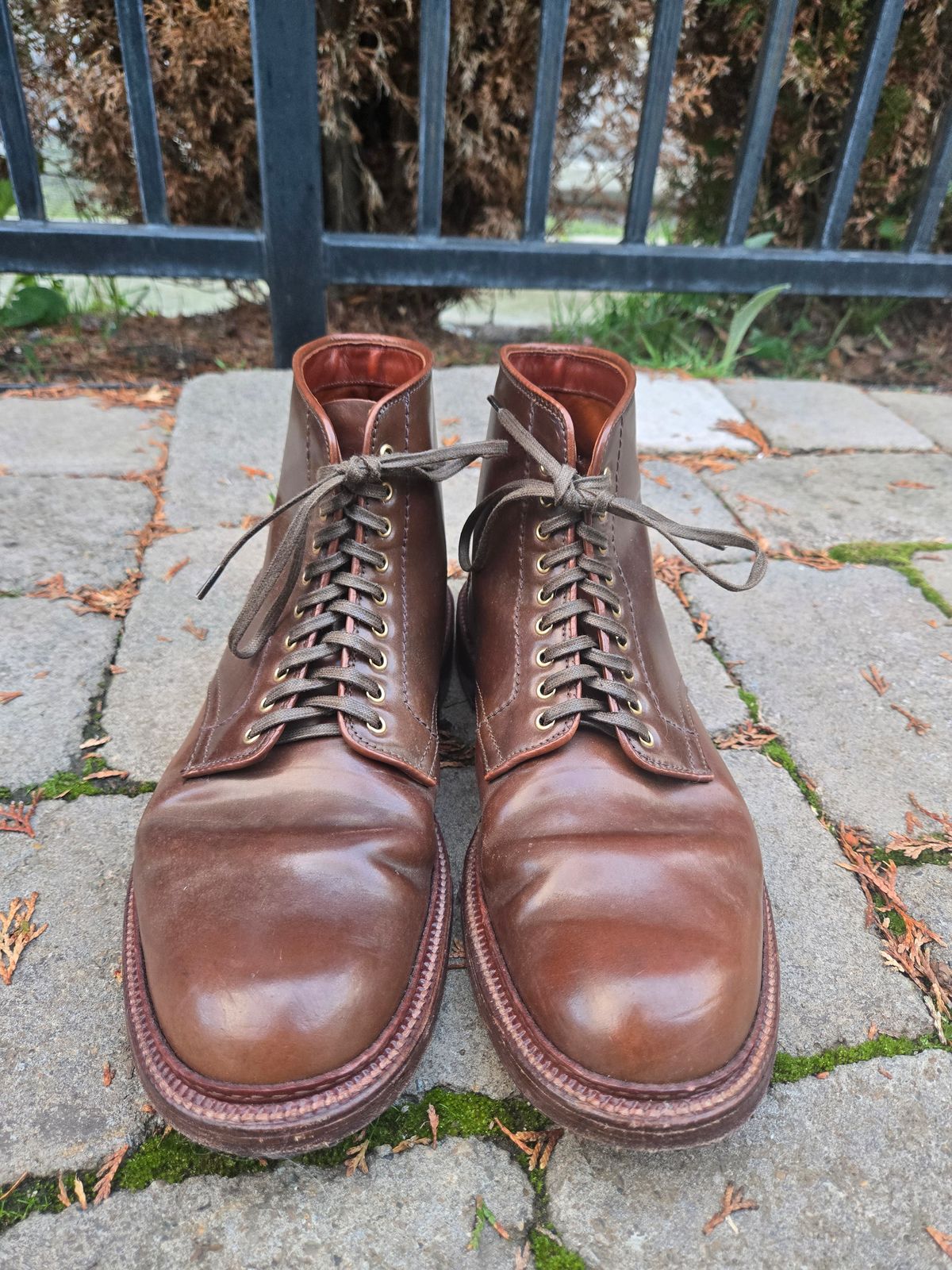 Photo by chokkero on January 5, 2026 of the Alden Plain Toe Boot in Horween Ravello Shell Cordovan.