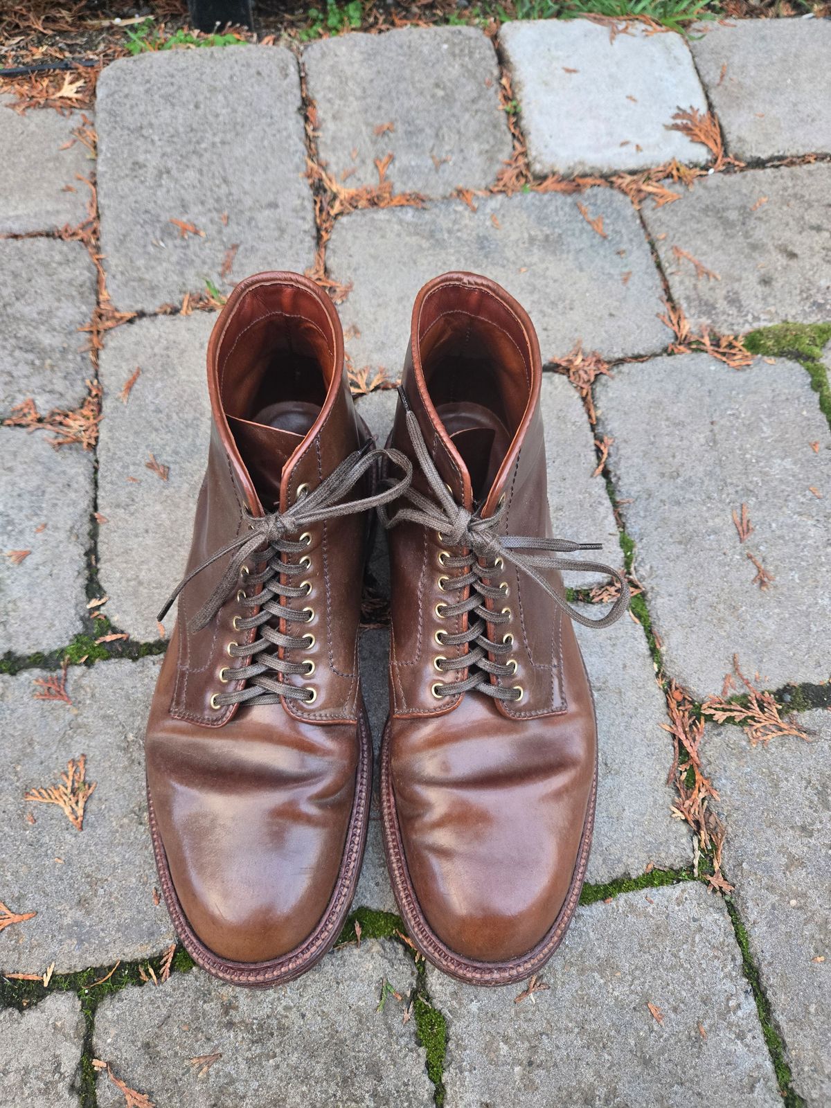 Photo by chokkero on January 5, 2026 of the Alden Plain Toe Boot in Horween Ravello Shell Cordovan.