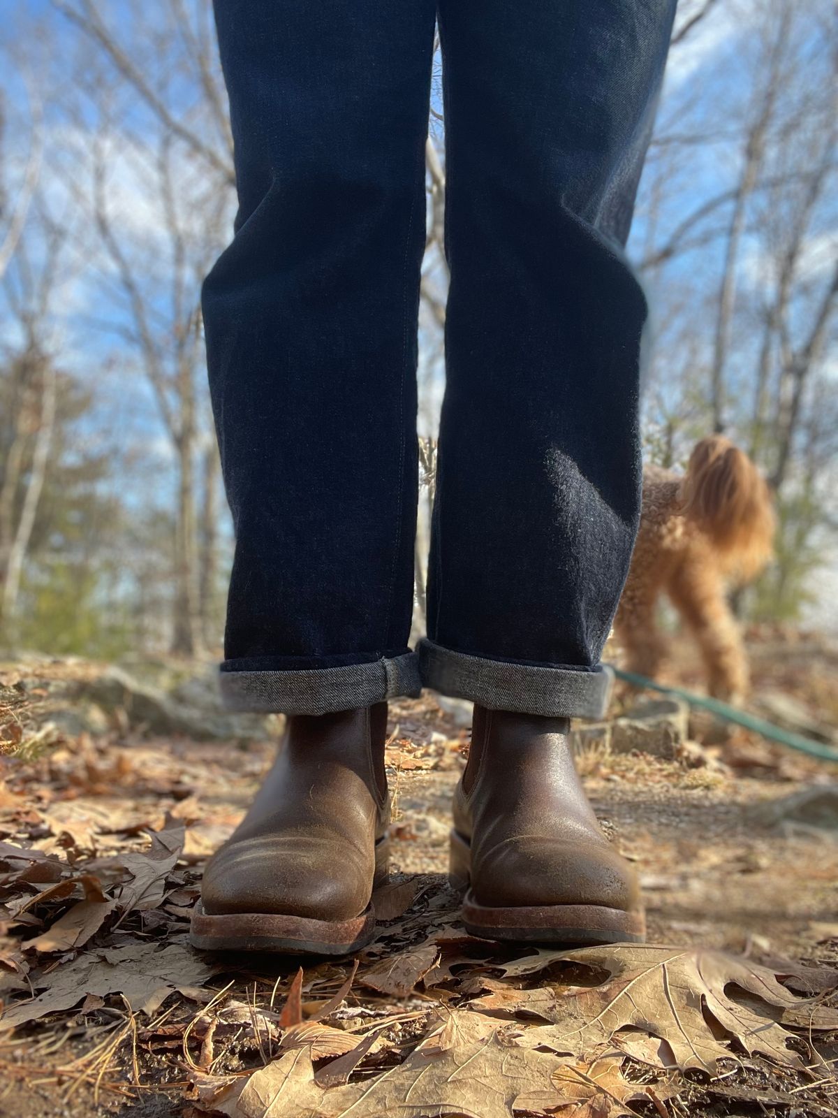Photo by NewEnglandIndigo on December 29, 2022 of the Benzein The Seventh Chelsea Boot in Horween Olive Waxed Flesh.
