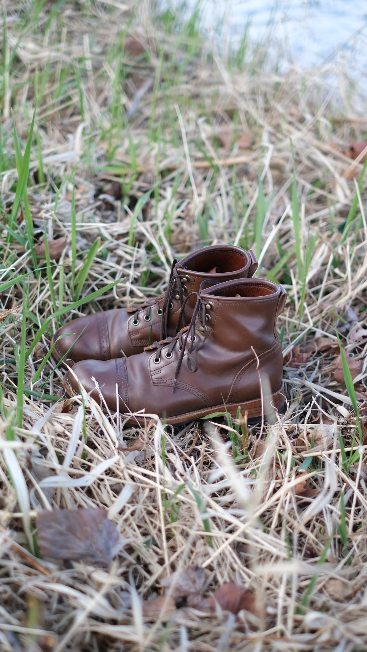 Photo by paranoid on April 2, 2023 of the Julian Boots Bowery in Horween Cigar Shell Cordovan.