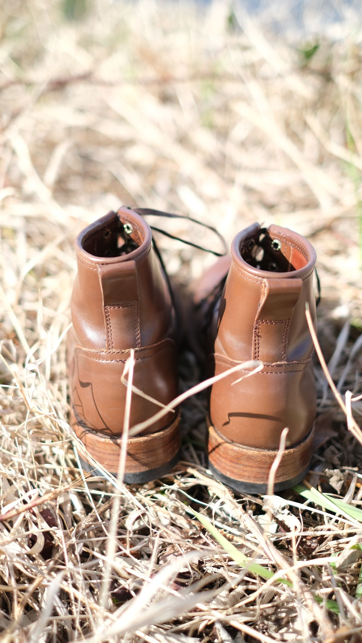 Photo by paranoid on April 2, 2023 of the Julian Boots Bowery in Horween Cigar Shell Cordovan.