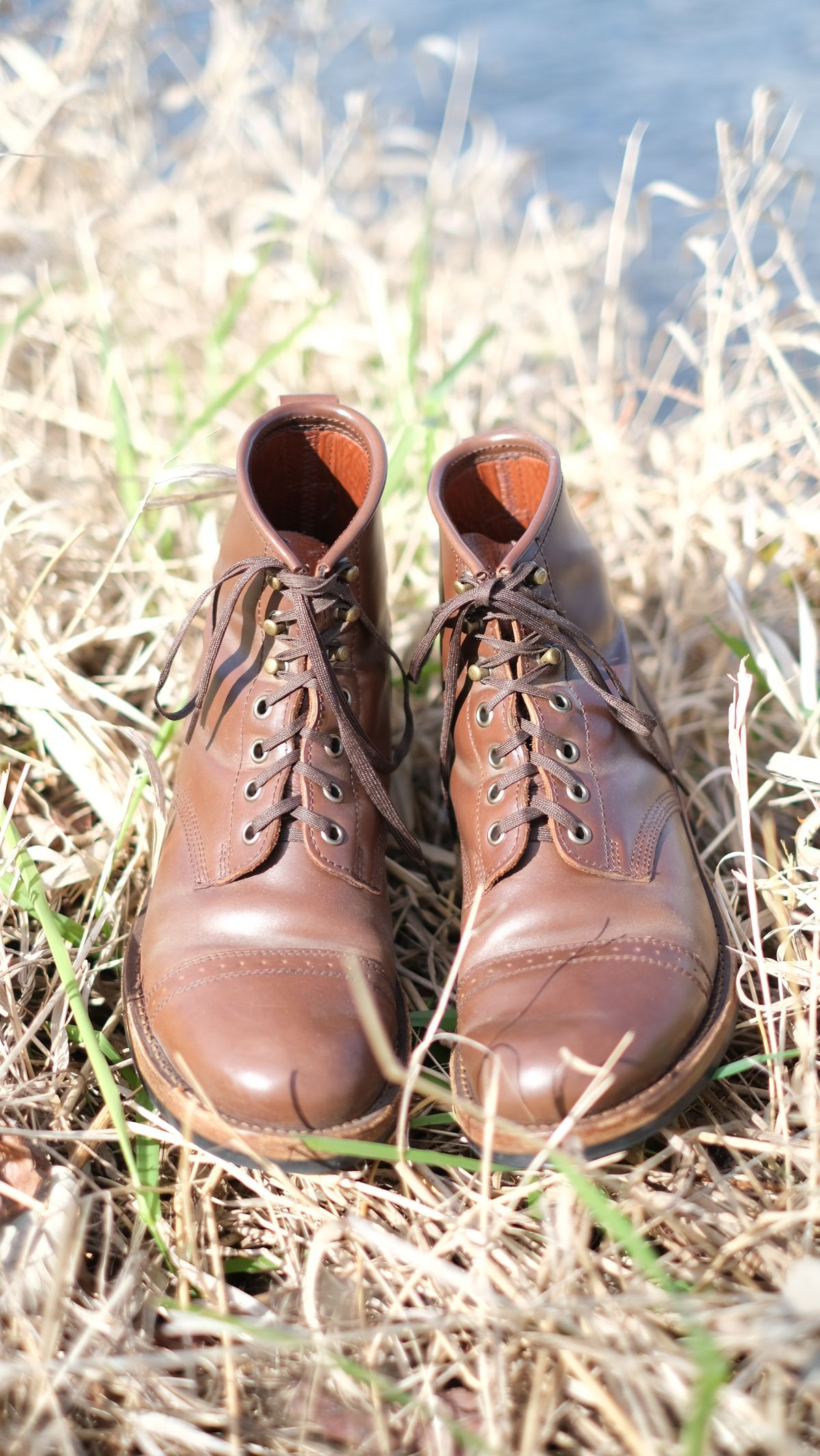Photo by paranoid on April 2, 2023 of the Julian Boots Bowery in Horween Cigar Shell Cordovan.
