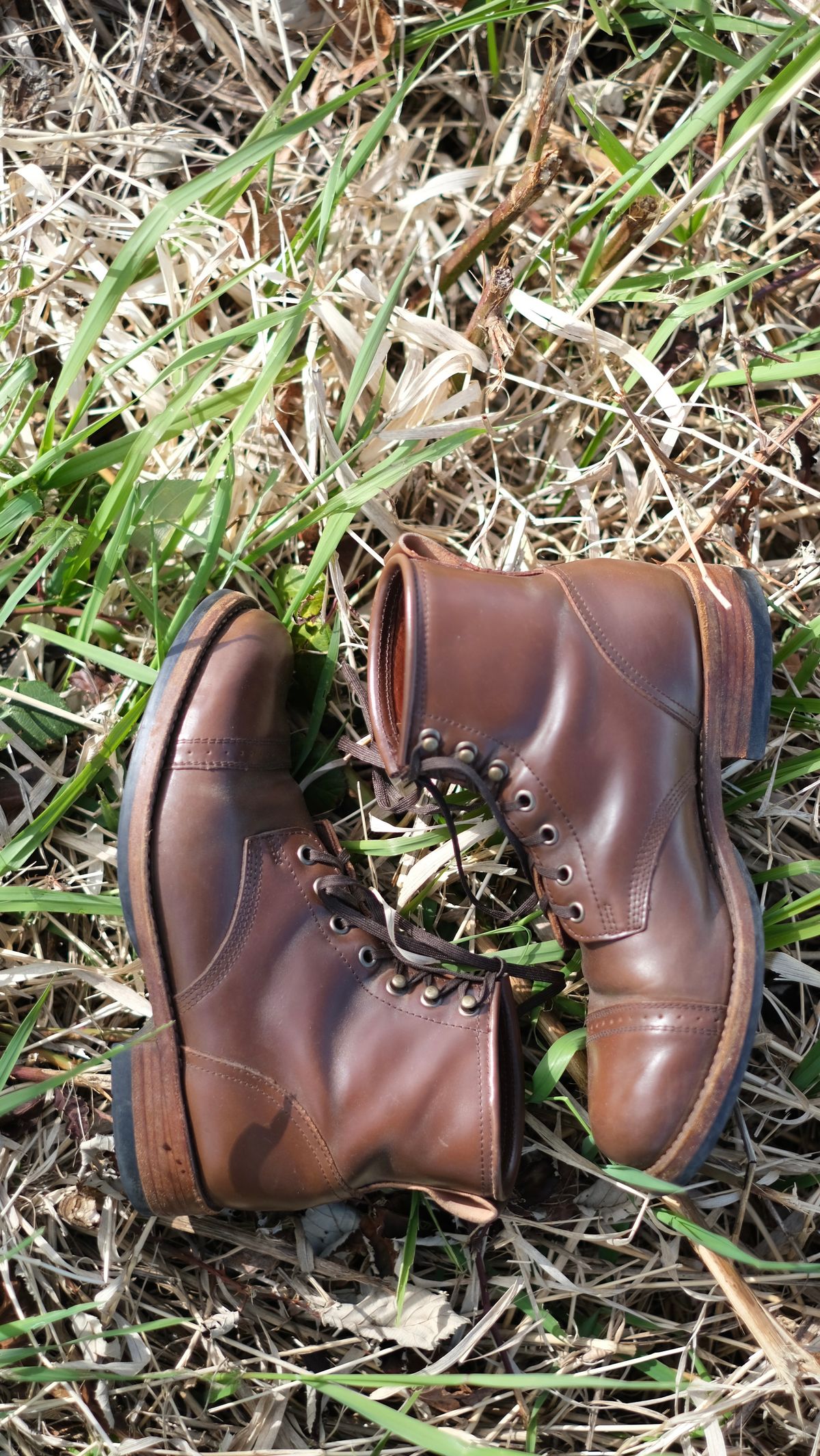 Photo by paranoid on April 2, 2023 of the Julian Boots Bowery in Horween Cigar Shell Cordovan.