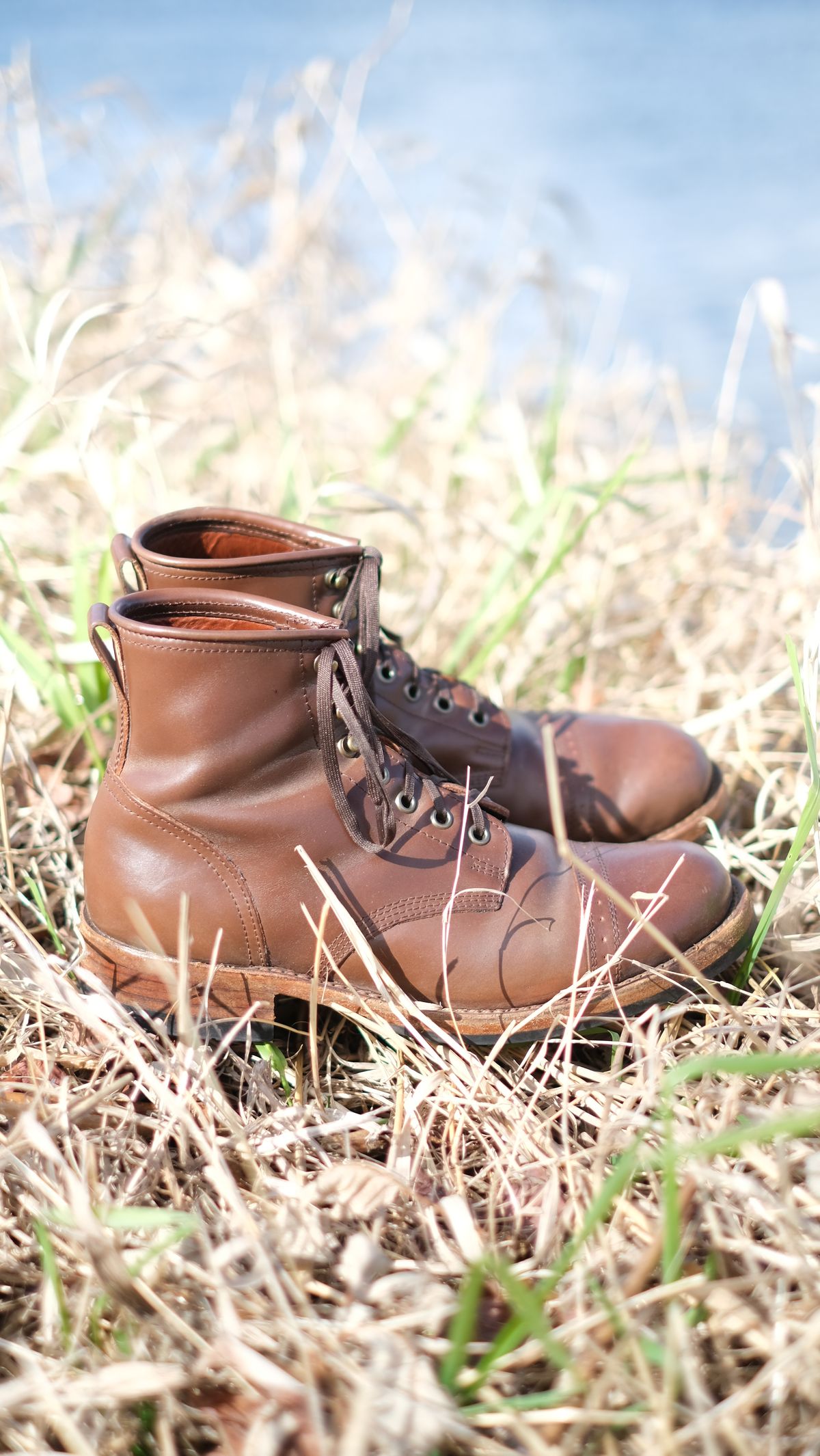 Photo by paranoid on April 2, 2023 of the Julian Boots Bowery in Horween Cigar Shell Cordovan.