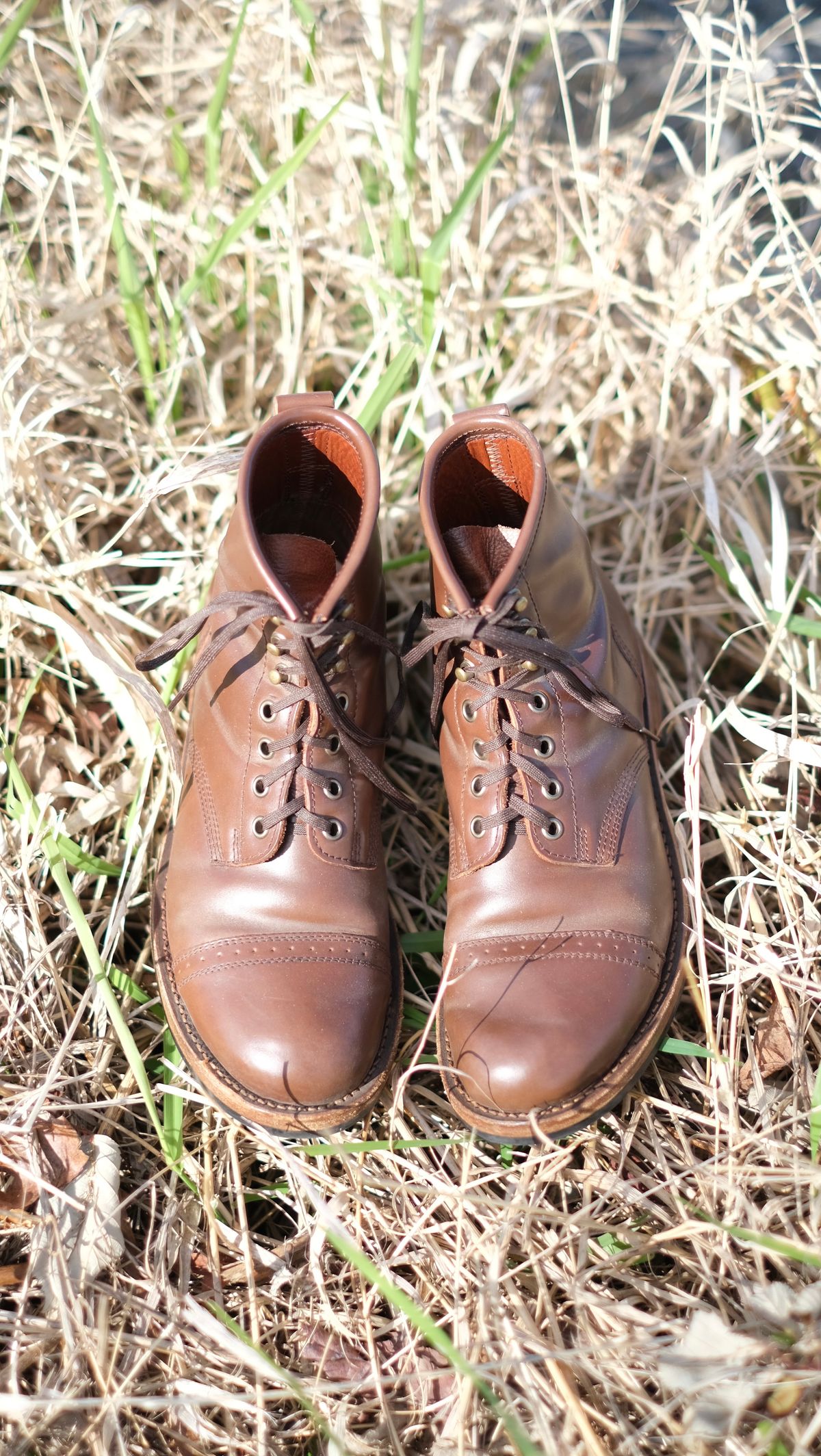 Photo by paranoid on April 2, 2023 of the Julian Boots Bowery in Horween Cigar Shell Cordovan.