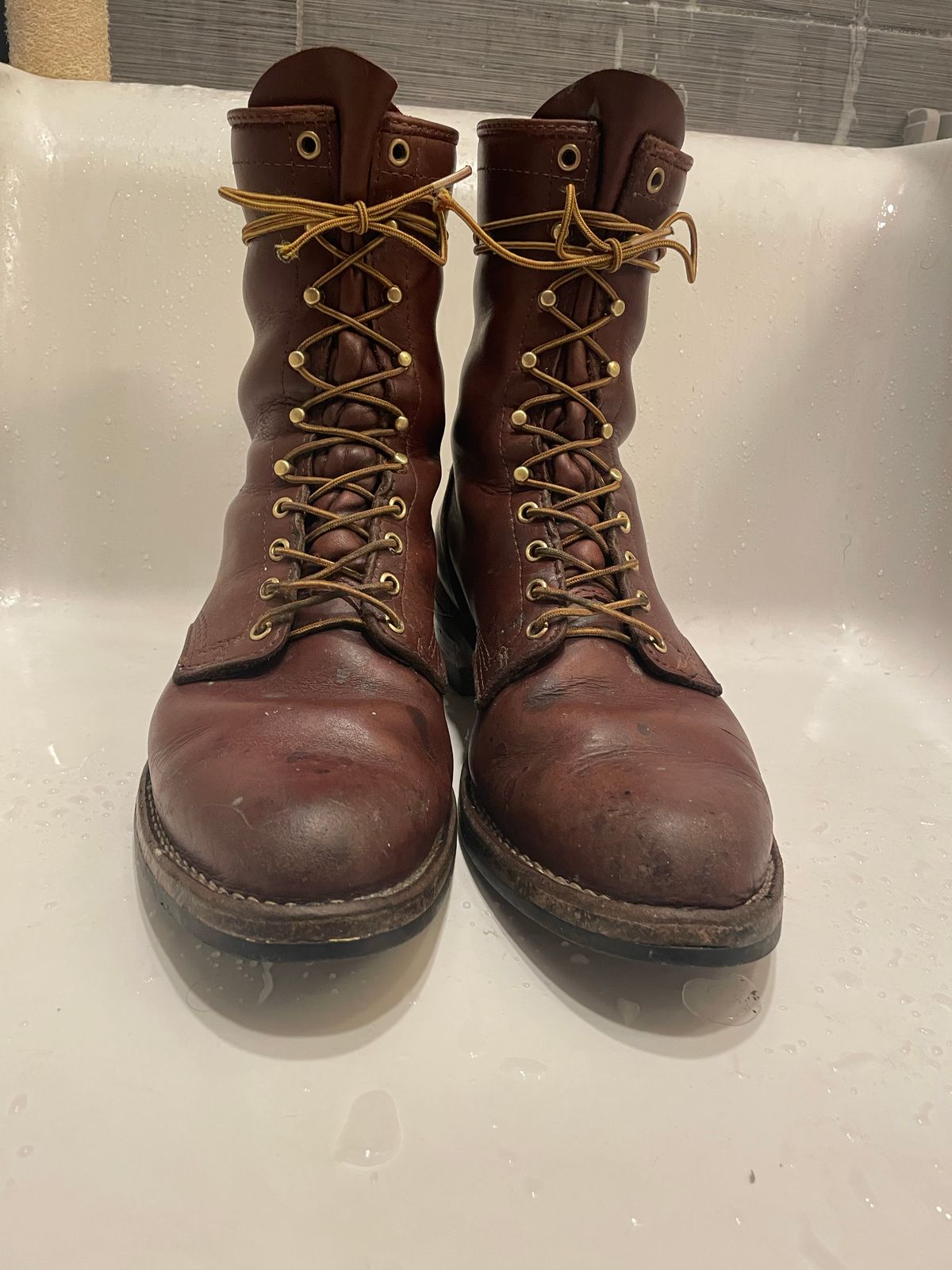 Photo by cjchris66 on November 6, 2022 of the Wesco Packer in Seidel Brown Oil Tan.