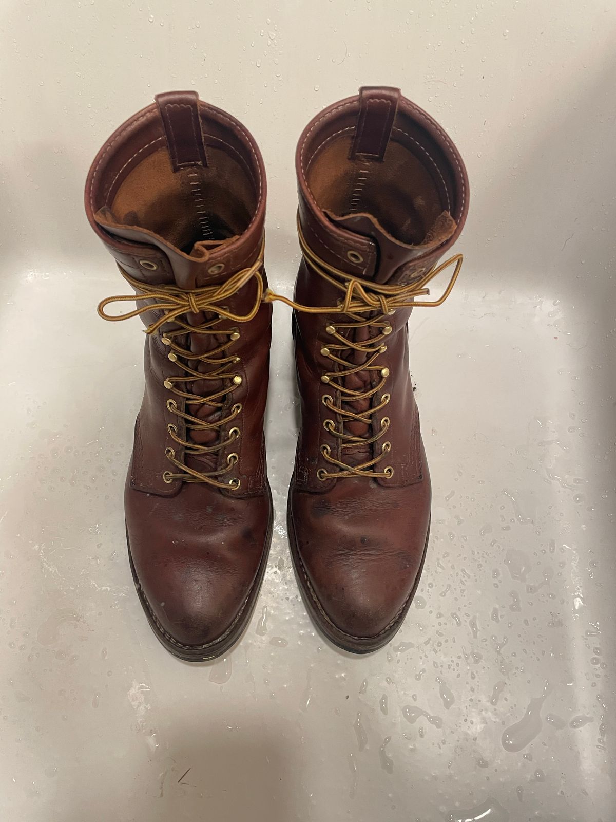 Photo by cjchris66 on November 6, 2022 of the Wesco Packer in Seidel Brown Oil Tan.