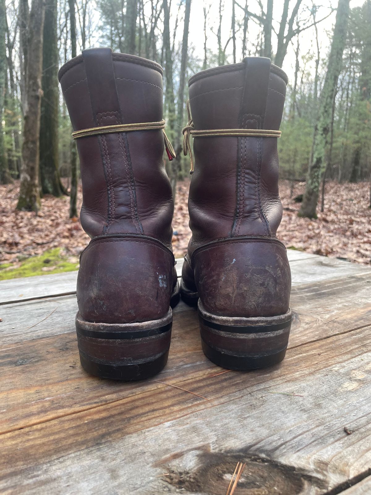 Photo by cjchris66 on January 5, 2023 of the Wesco Packer in Seidel Brown Oil Tan.