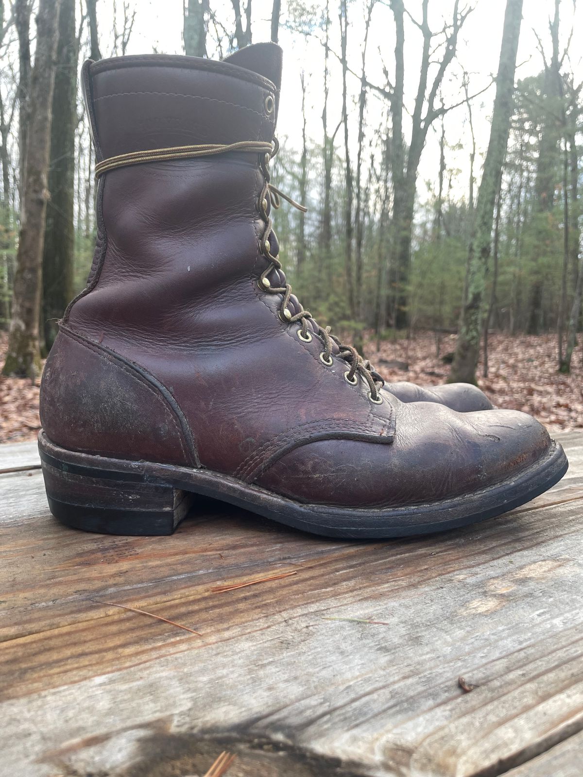 Photo by cjchris66 on January 5, 2023 of the Wesco Packer in Seidel Brown Oil Tan.