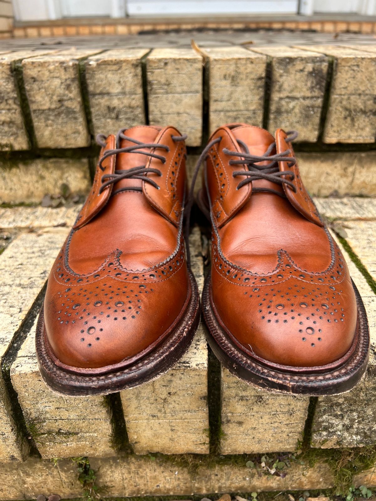 Photo by byrdhound on February 4, 2024 of the Grant Stone Longwing in D'Annonay British Tan Calf.