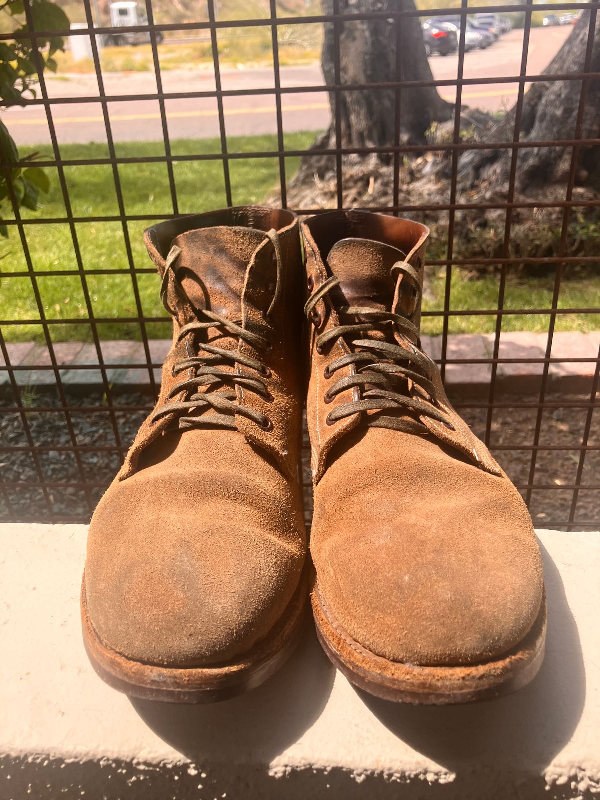 Photo by RuffOutLaGoop on April 5, 2024 of the Oak Street Bootmakers Field Boot in Horween Natural Chromexcel Roughout.